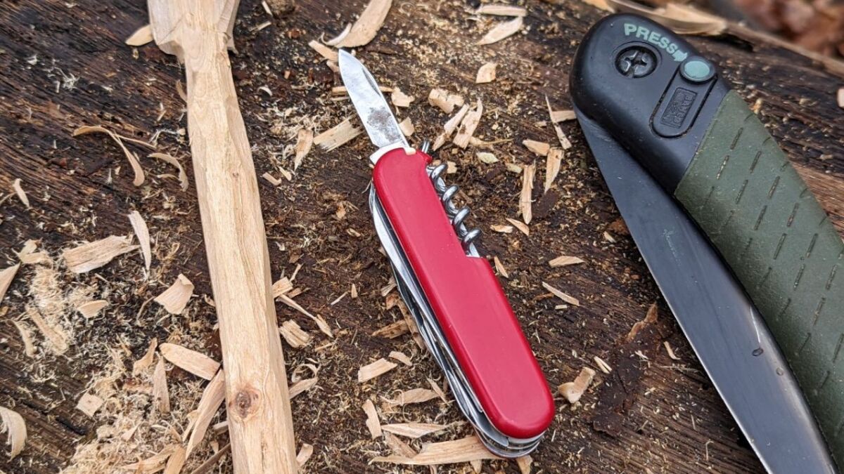 Pocket knife on tree trunk with carving