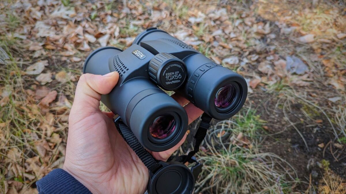 The Eden Binoculars XP 10x56 - A great and affordable companion for your adventures in the wilderness