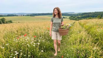 7 Wildpflanzen im Juli sammeln: Der Erntekalender