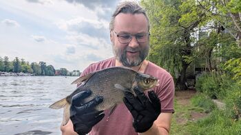 Method Feeder Angeln: Meine Methode auf Brassen & Karpfen