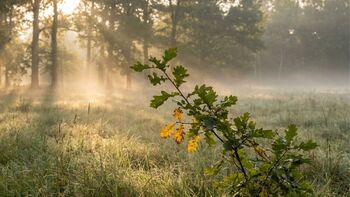 Summer Bids Farewell: Signs of Transition