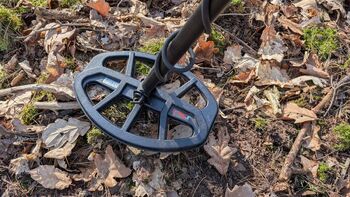 Sondeln für Anfänger: Mein Einstieg in die Schatzsuche