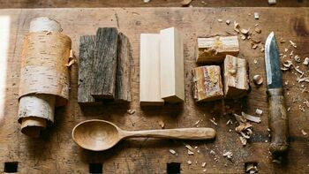 14 Holzarten und was du damit machen kannst im Überblick