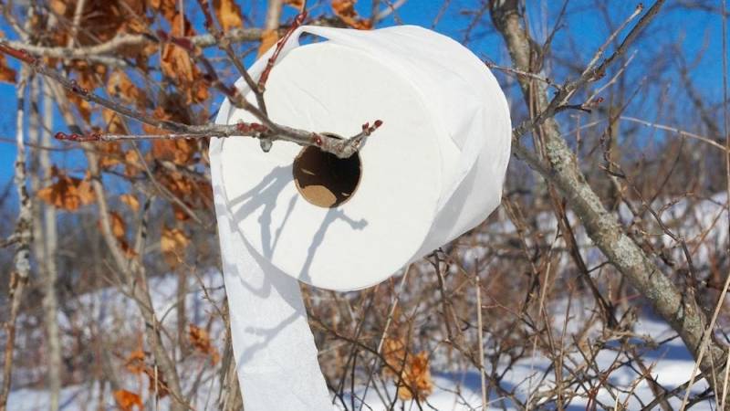 If you don't have toilet paper at hand, use natural materials such as leaves