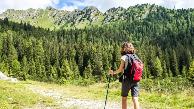 trekkingstoecke berge