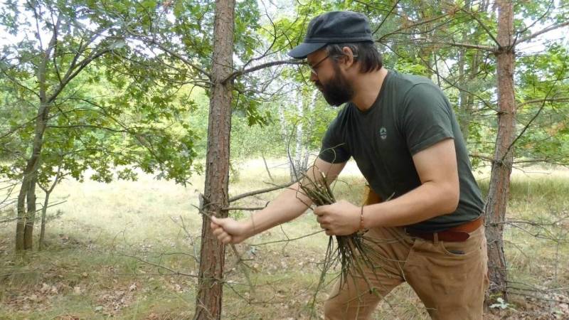 Collect dry dead branches from pine trees for your fire – they burn particularly well