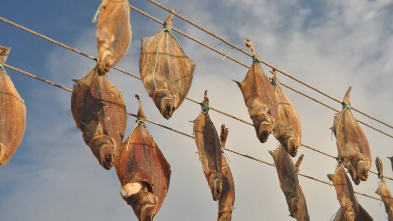 Trockenfisch ist eine wunderbare Möglichkeit, um Fisch haltbar zu machen