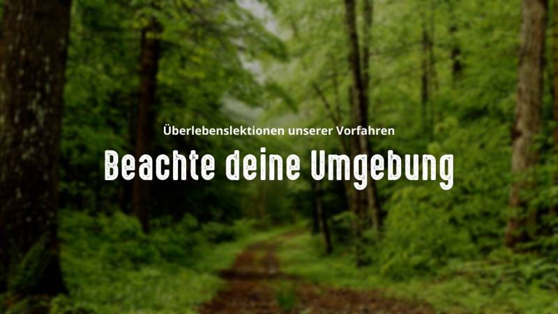 ueberlebenslektionen unserer vorfahren beachte deine umgebung