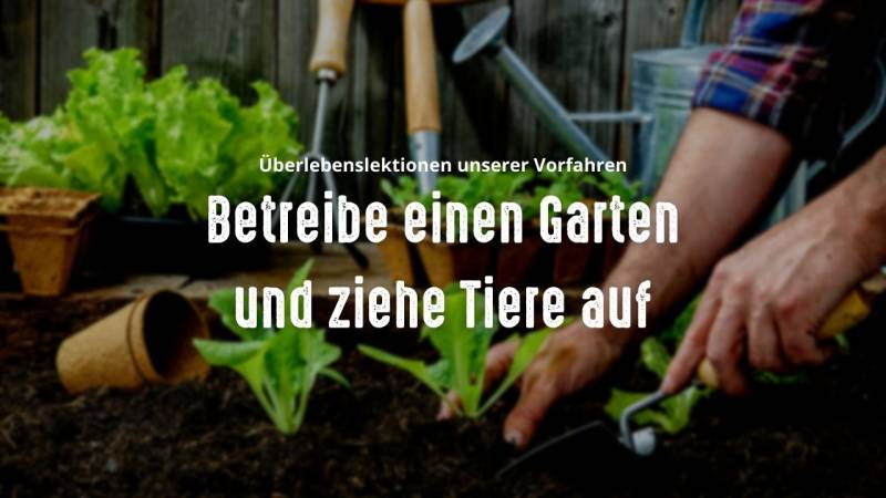 ueberlebenslektionen unserer vorfahren betreibe einen garten tiere