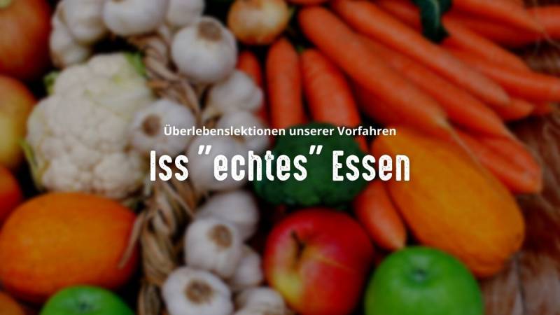 ueberlebenslektionen unserer vorfahren iss echtes essen