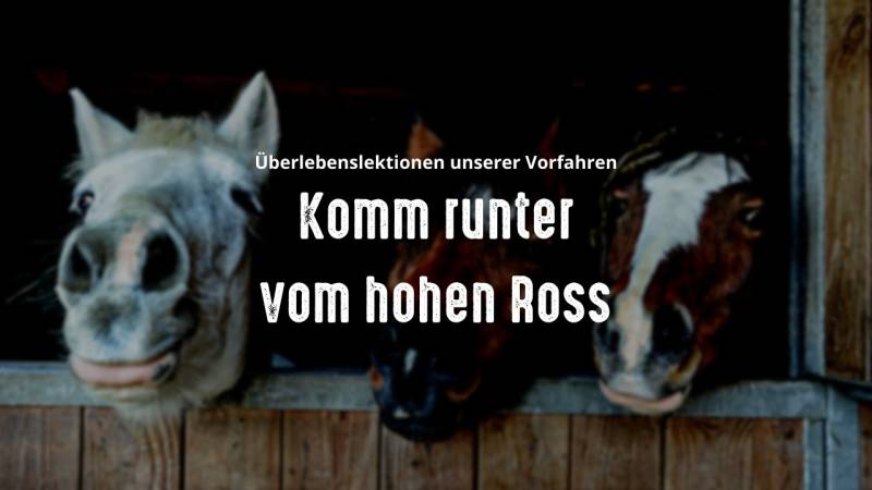 ueberlebenslektionen unserer vorfahren komm runter vom hohen ross