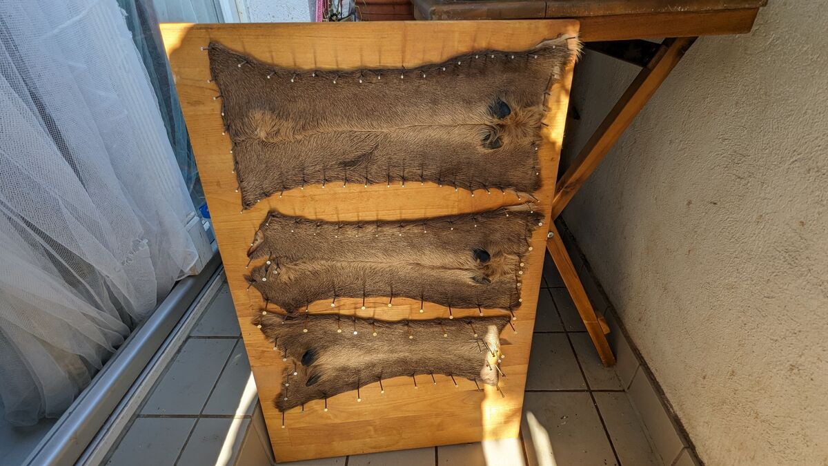 Wildverwertung: Was du aus einem Reh alles machst unterlaeufe vom rotwild