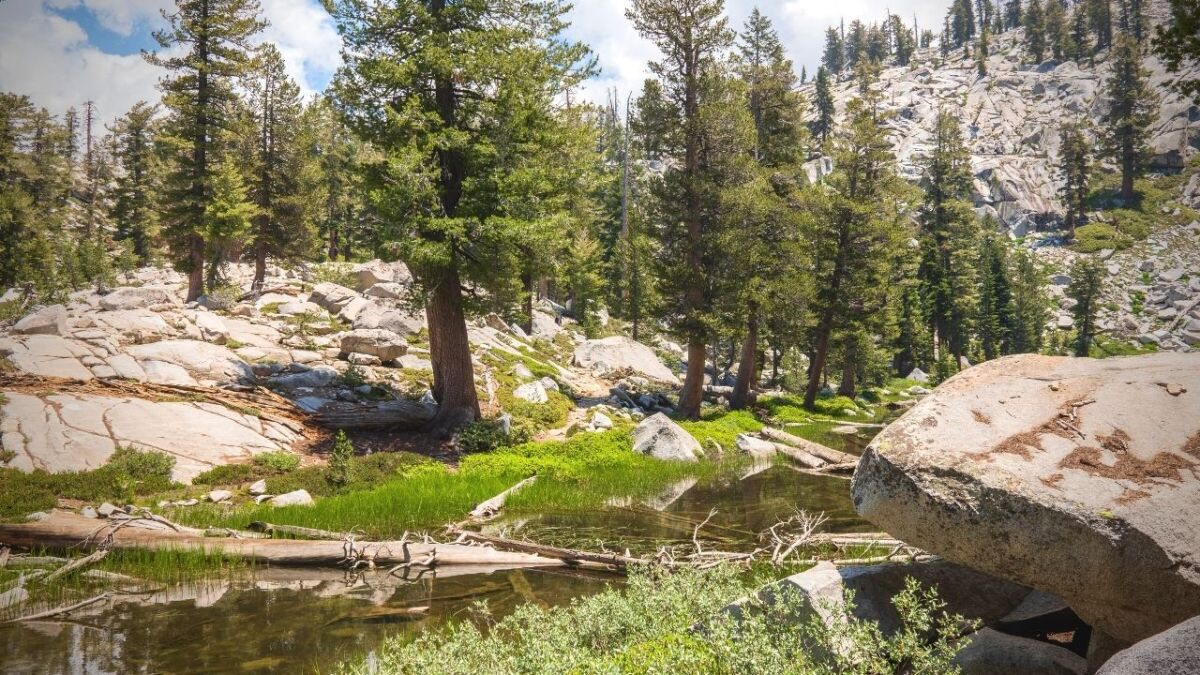 Das Bureau of Land Management ist eine Bundesbehörde, die öffentliches Land verwaltet. Sie sind dafür verantwortlich, natürliche Ressourcen zu erhalten und zugänglich zu machen.