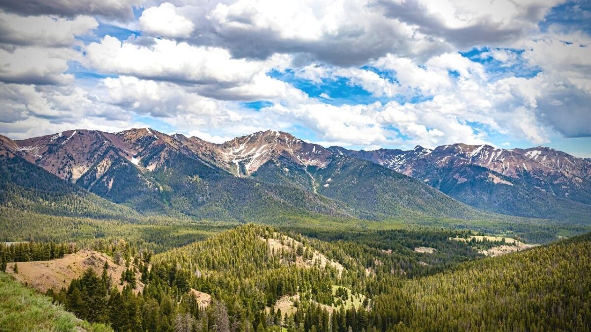 The national forests preserve and protect some of the most beautiful places in America, such as the Appalachian Trail and the Yellowstone National Park, which can be explored and discovered by both locals and tourists.