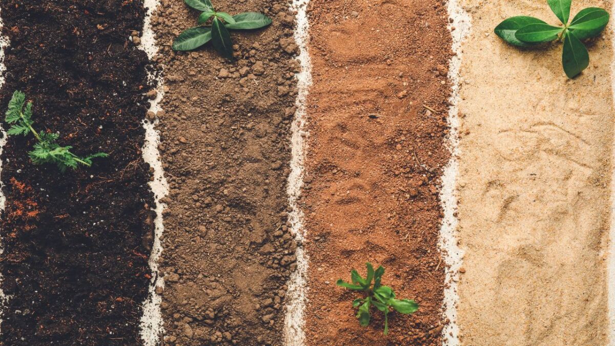 Different types of soil