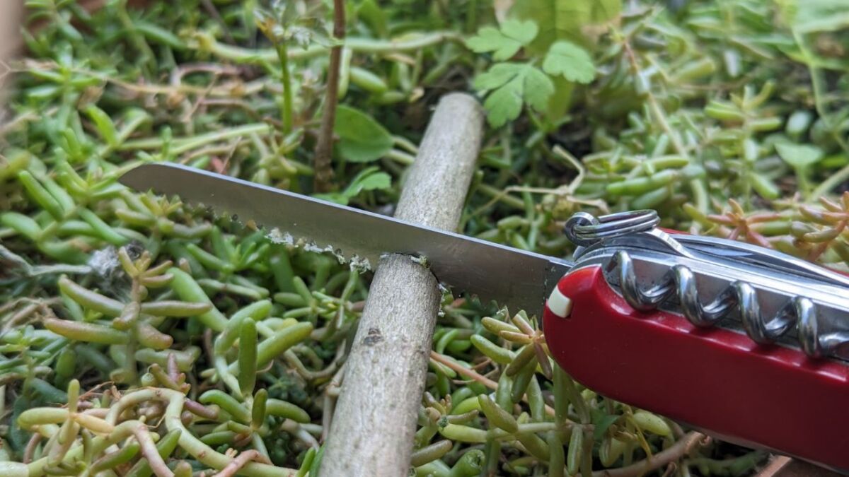 ➡️ Test And Review: Victorinox Huntsman Pocket Knife