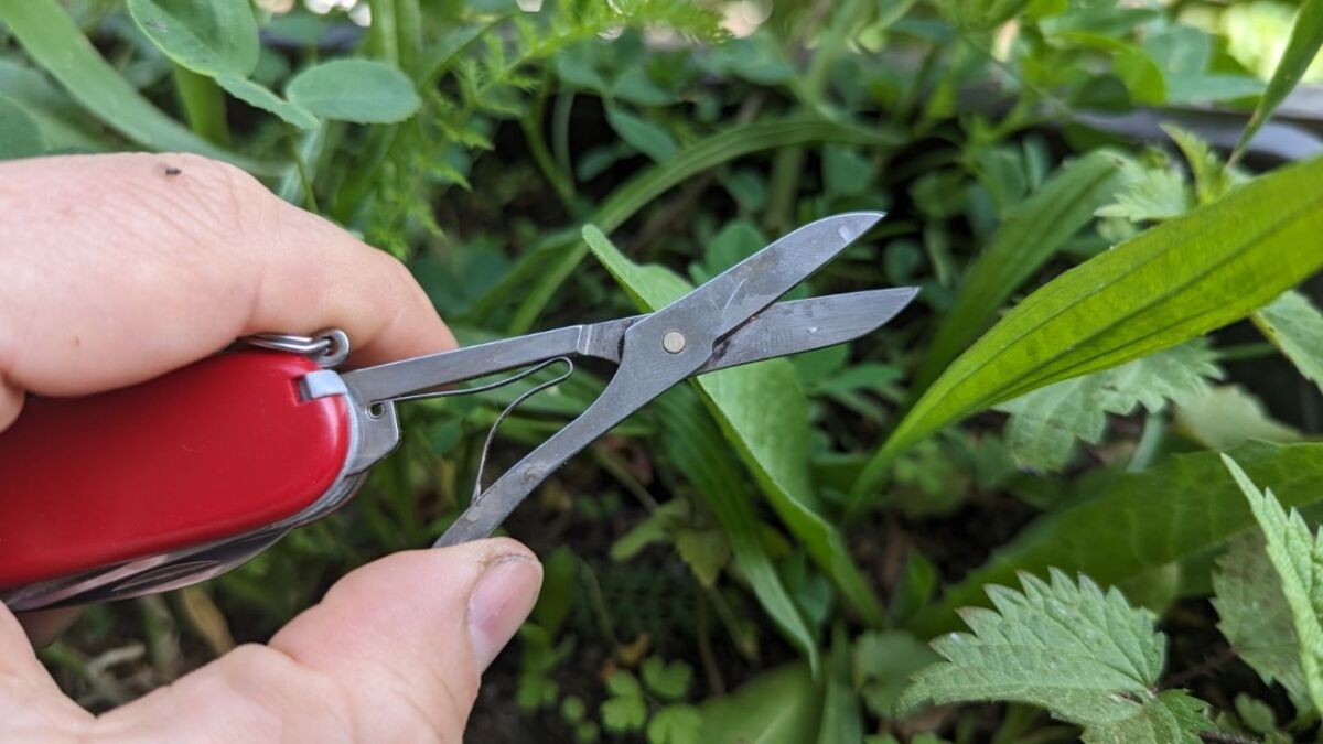 The Huntsman's scissors is sharp and work flawlessly