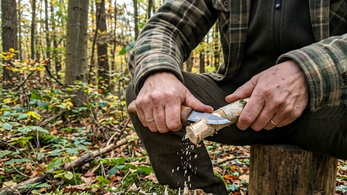 Giftige Hölzer beim Schnitzen, am Lagerfeuer und in der Wildnisküche – was du wissen musst