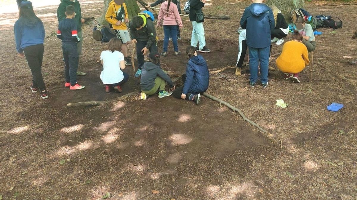 wald karte im wald mit kindern bauen 2