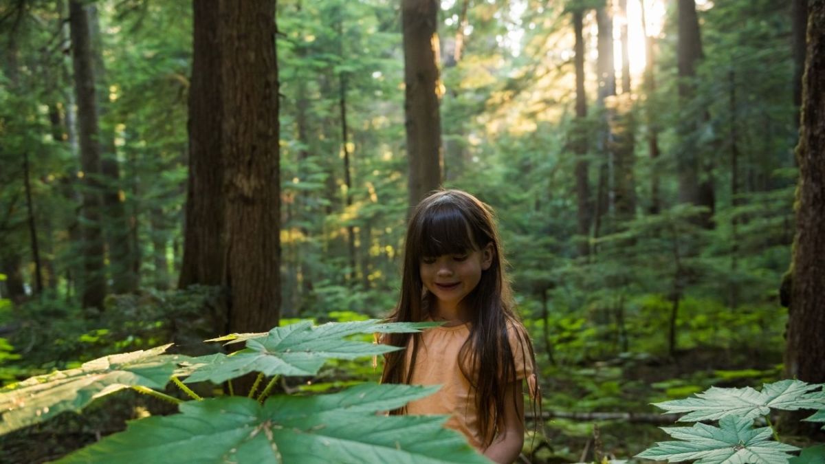Im Wald sind all deine Sinne gefragt – so verbindest du dich mit der Natur