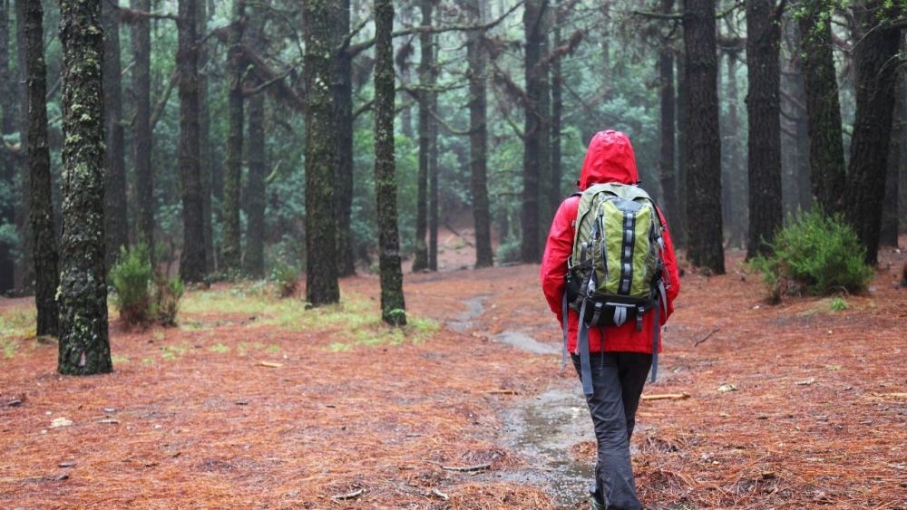 Hiking in the rain can be relaxing if you have the right attitude and equipment