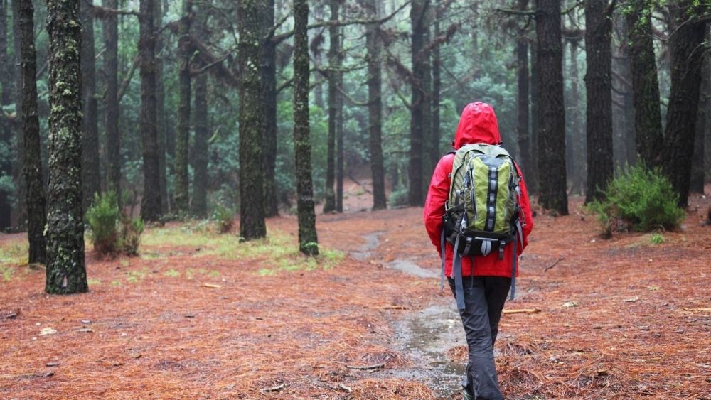 Wandern bei Regen kann entspannend sein, wenn du die richtige Einstellung und Ausrüstung besitzt