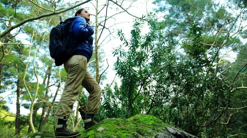 When hiking, you reduce stress and improve your mood