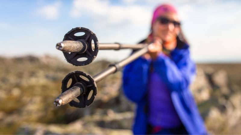 Why you should use trekking poles?