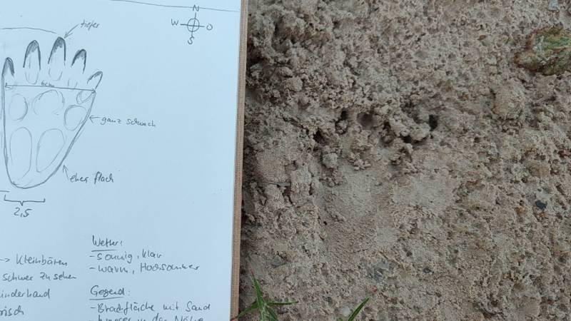 It is quite useful to sketch the animal tracks and take notes.