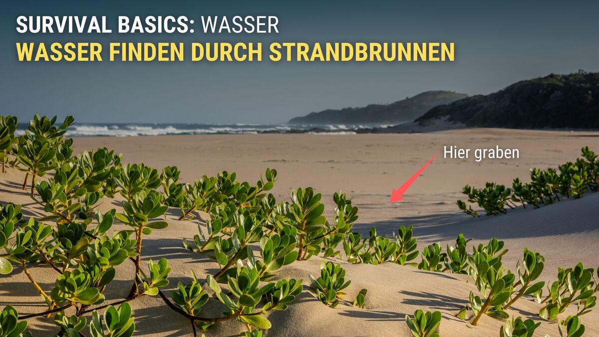 Wasser finden durch Strandbrunnen.jpg