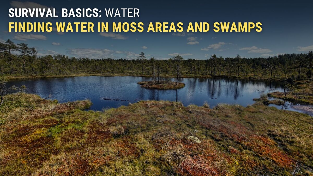 Finding water in bogs and swamps