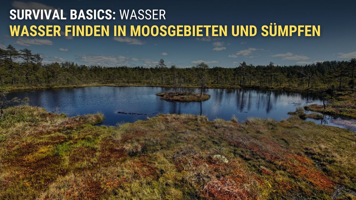 Wasser finden in Moosgebieten und Sümpfen