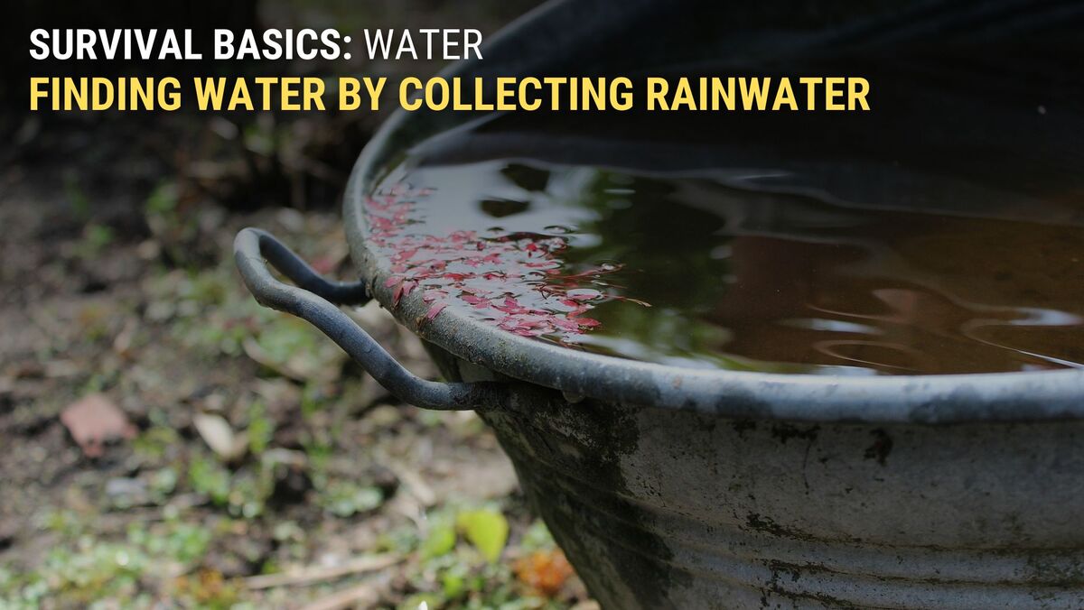 Collecting water through rain