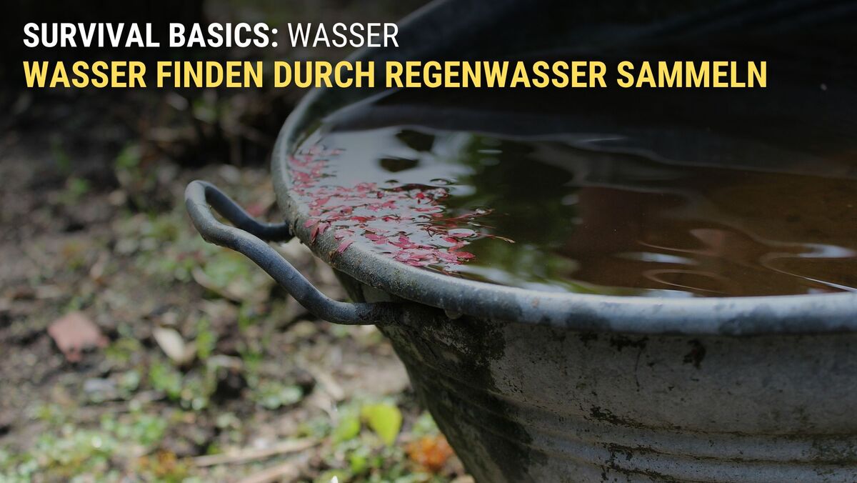 Wasser sammeln durch Regen