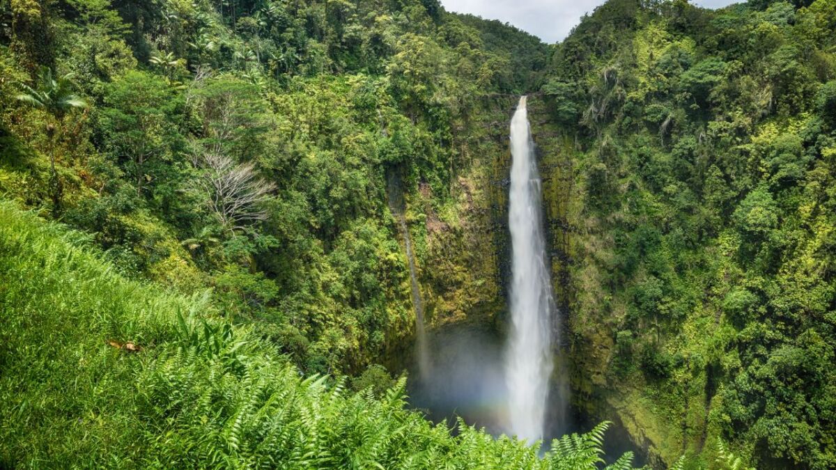 Such a waterfall on an island means life!