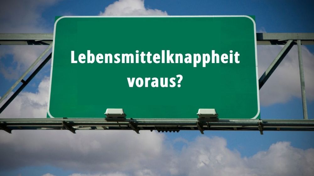 Vorbereitung auf Lebensmittelknappheit: Lebensmittel, die während dem Ukrainekrieg, knapp oder teuer werden