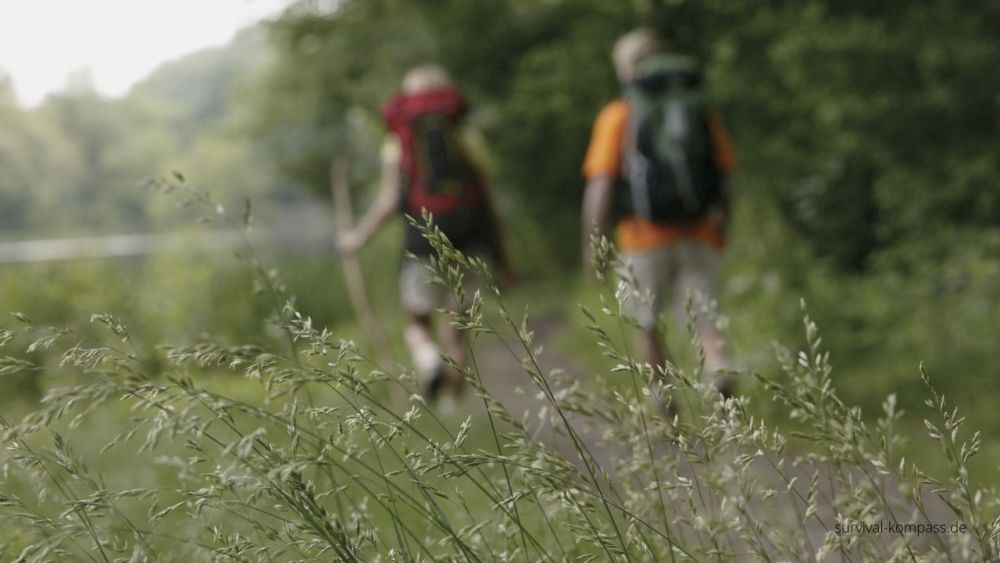 How you find the ideal hiking partner?