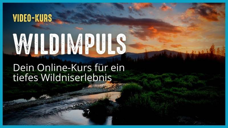 Wildimpuls: für ein tiefes Wildniserlebnis