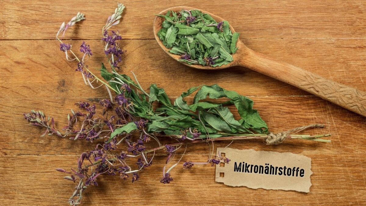 Micronutrients from wild herbs are vital for survival