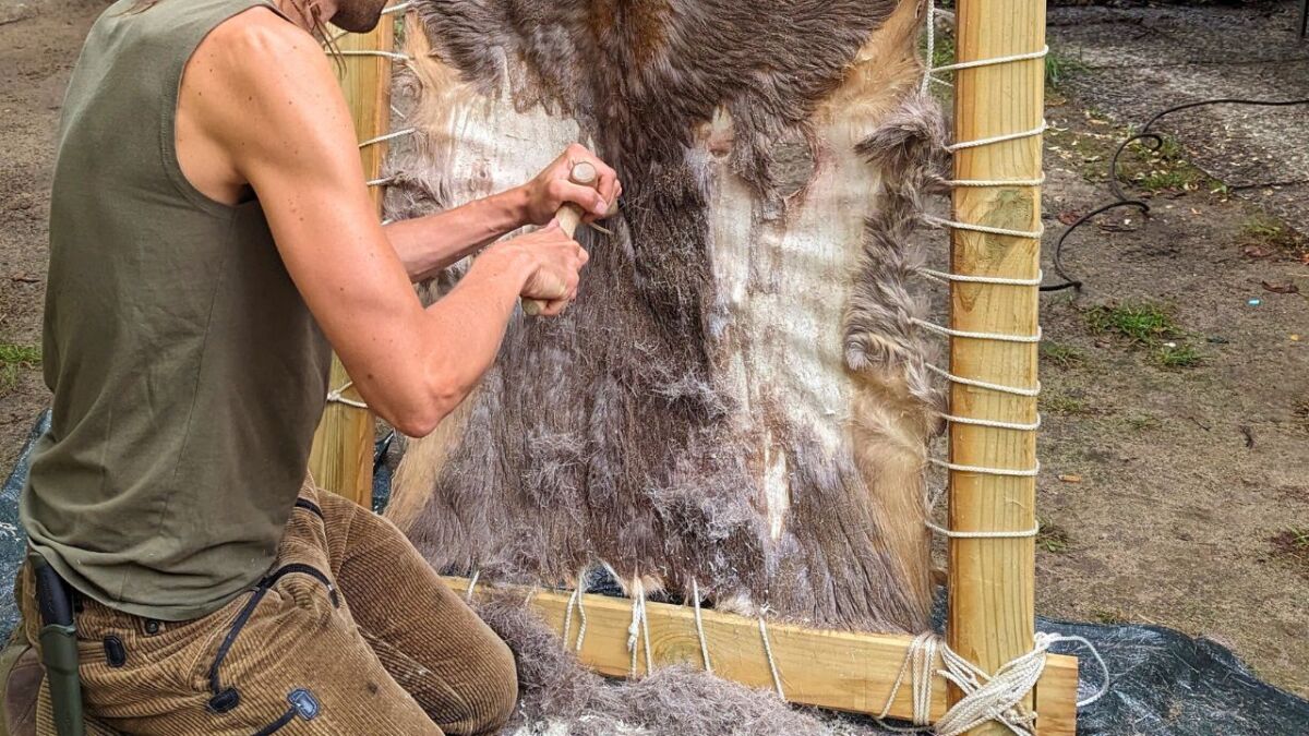 wildleder herstellen trockenschabmethode