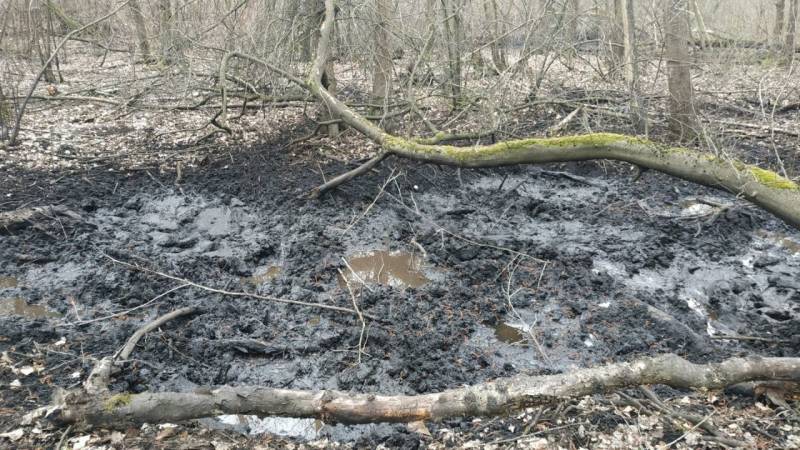 wildschweinsuhle faehrtenlesen