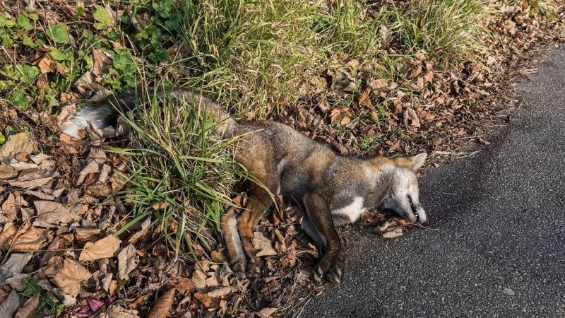 Nicht immer sind Verletzungen nach einem Unfall äußerlich sichtbar.