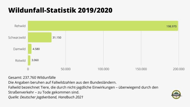 More than 237,760 wildlife accidents occurred in Germany in 2020