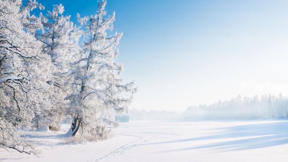 Das Beste am Wintercamping ist, dass du dir keine Sorgen um Mücken und andere Ungeziefer machen musst.