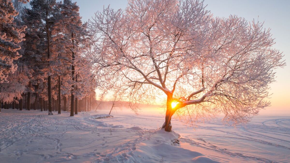 winterlandschaft mit sonne