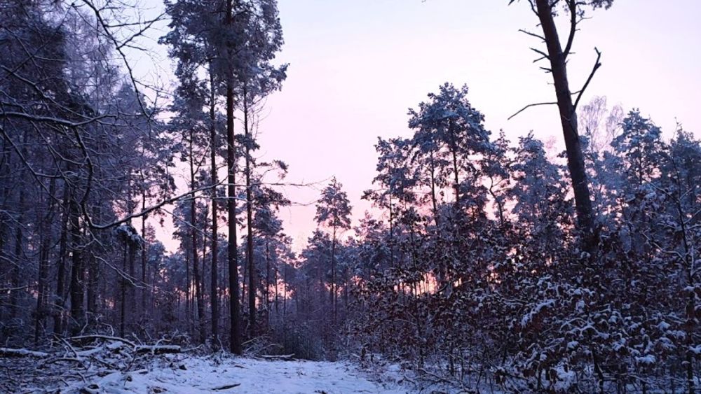 wnterlandschaft morgendlicher sonnenaufgang