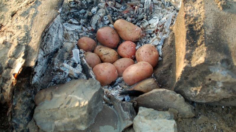 Kartoffeln beim Zelten sind nahrhaft und lecker