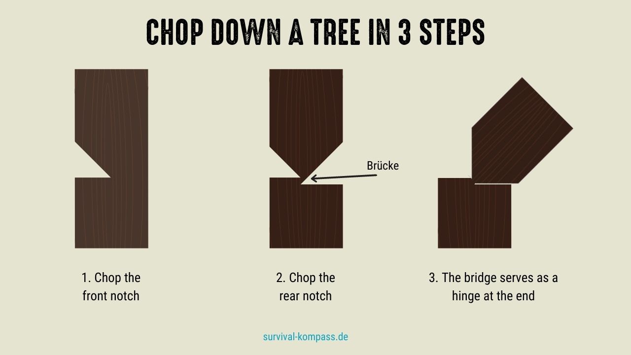 Felling a tree in 3 steps - it can also be done with a knife