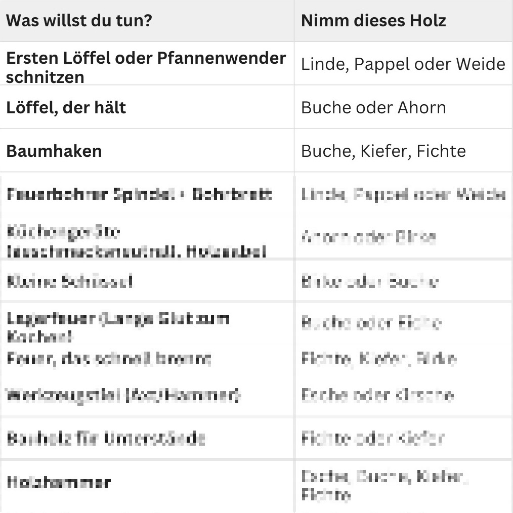 Infografik: Die Entscheidungstabelle – Welches Holz für welches Projekt