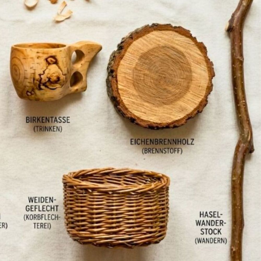 Infografik: Weichholz, Mittelhartes Holz, Hartholz erklärt